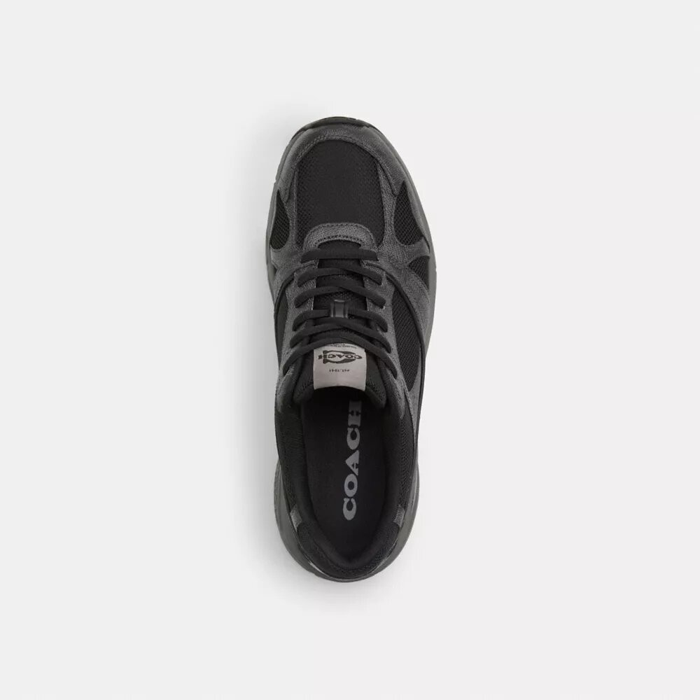 Sport Sneaker in Signature Canvas