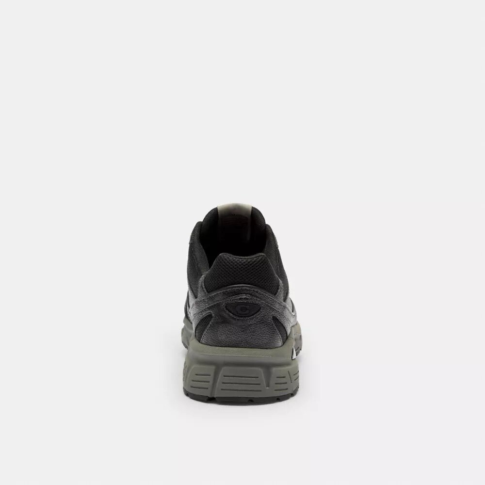 Sport Sneaker in Signature Canvas