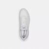 Strider Sneaker in Signature Canvas