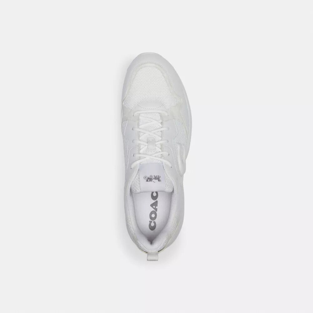 Strider Sneaker in Signature Canvas