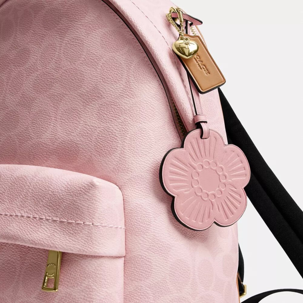 Taylor Small Backpack in Signature Canvas with Charms