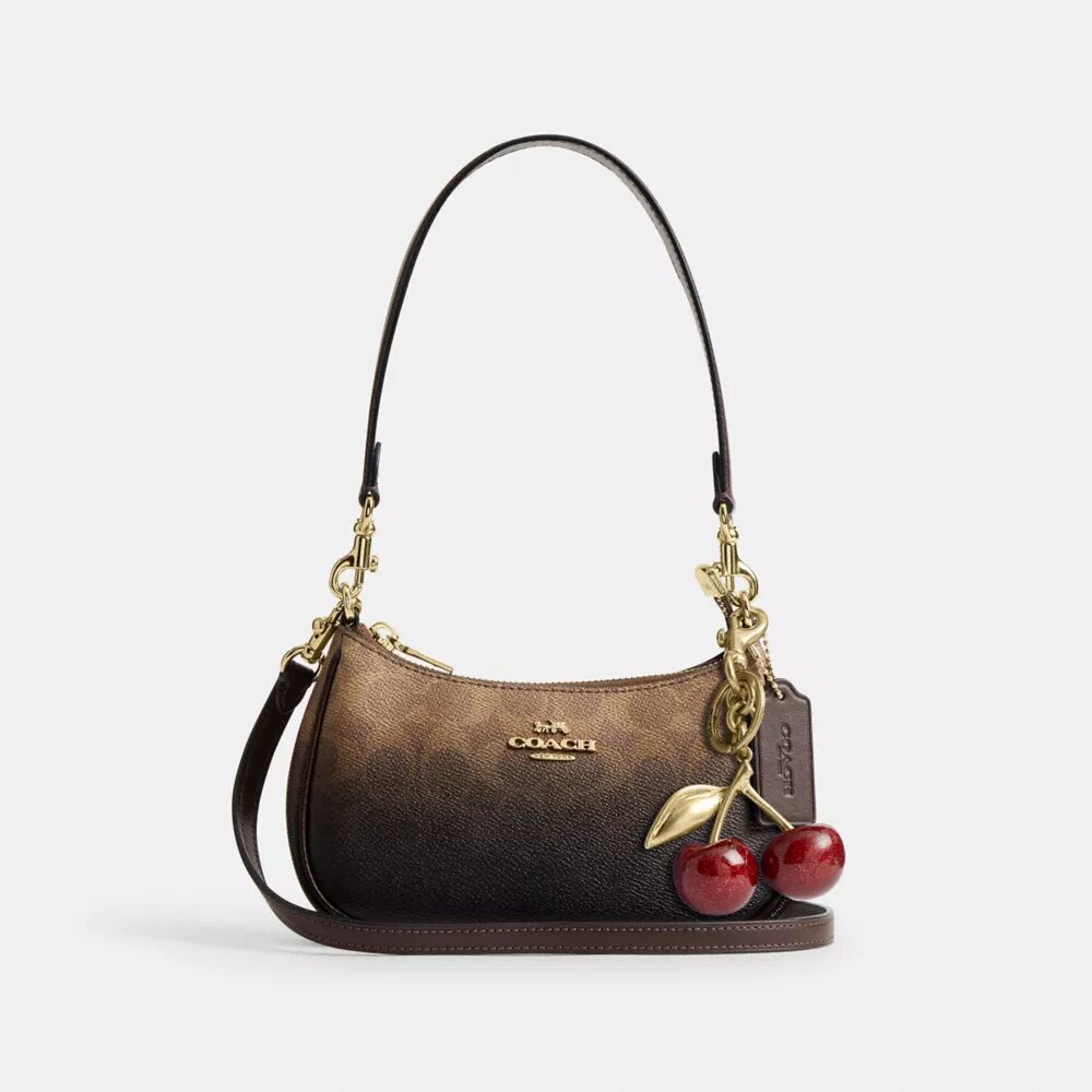 Teri Mini Crossbody Bag in Ombre Signature Canvas