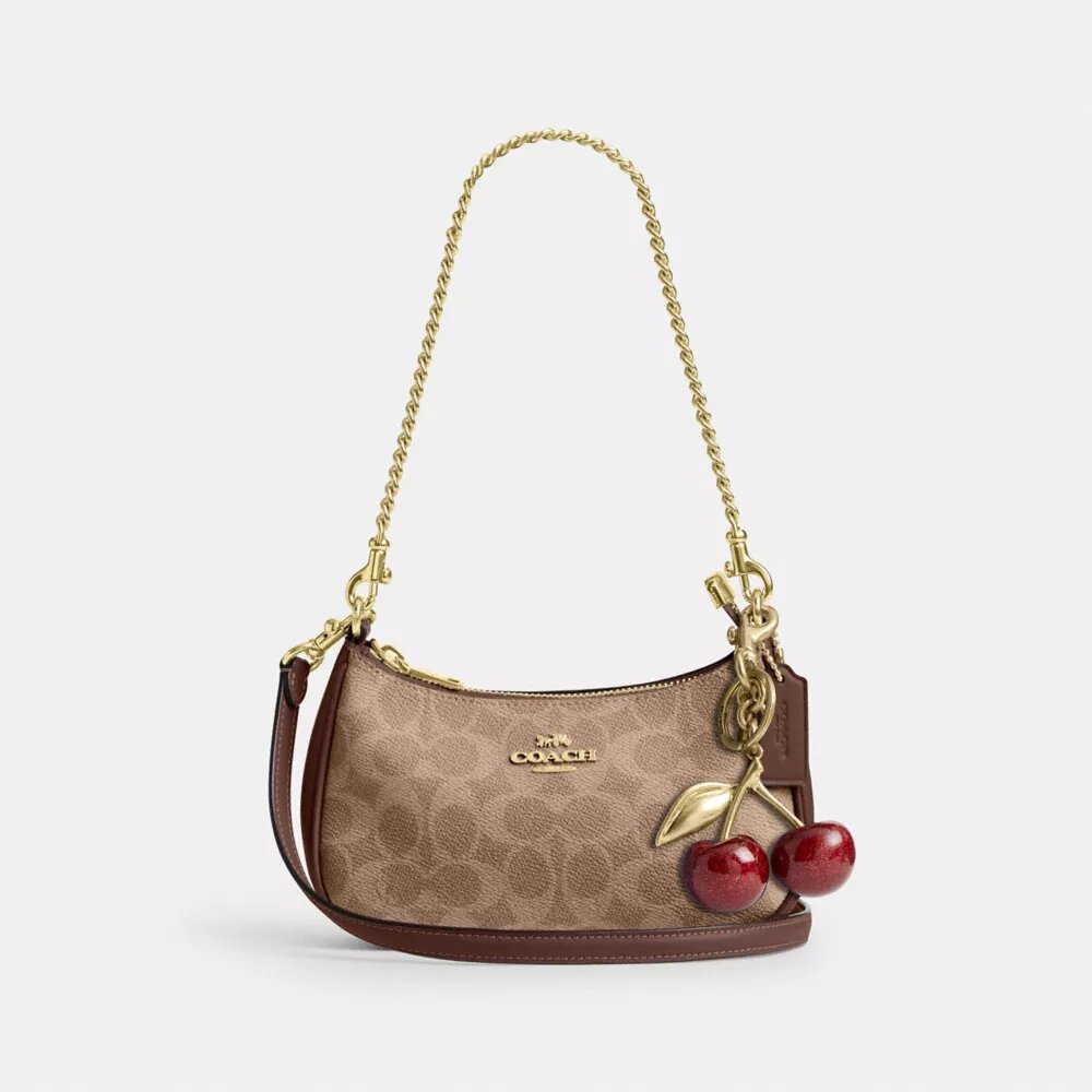 Teri Mini Crossbody Bag in Signature Canvas