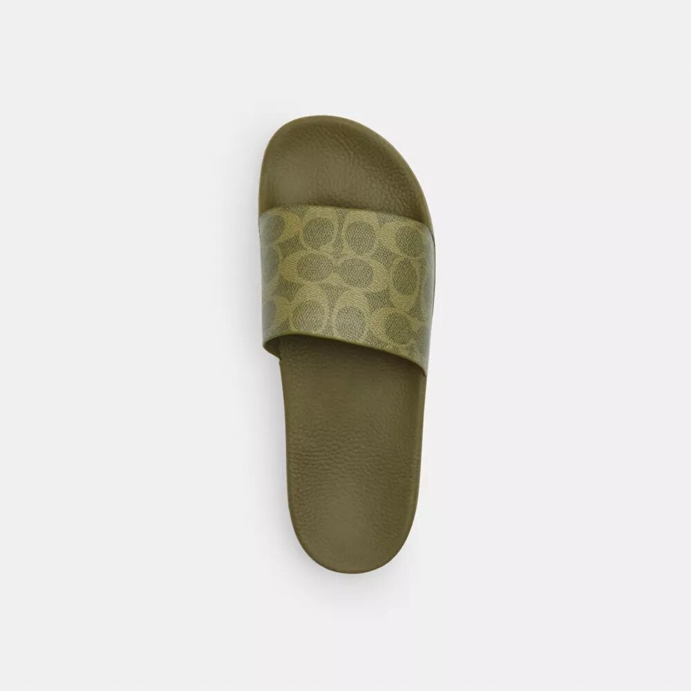 Udele Sport Slide in Signature Canvas