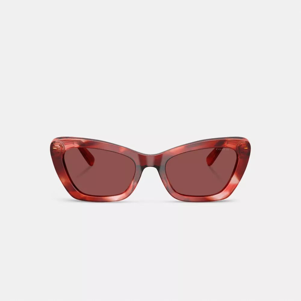 Wire Cat Eye Sunglasses